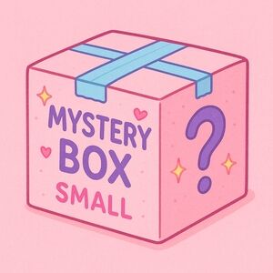 Boutique NWT Mystery Box - Women's Clothes - Size Small